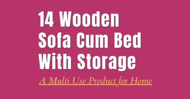 Sofa Cum Bed Wooden with Storage